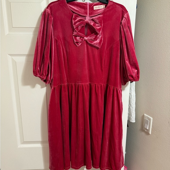 Ivy City Co Dresses & Skirts - Ivy City Co Velvet Dress in Deep Pink with Bow
